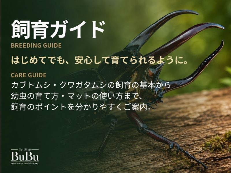 飼育ガイド