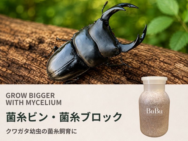 菌糸ビン・菌糸ブロック