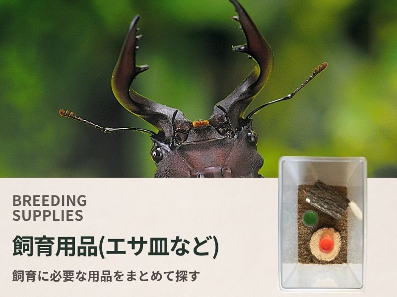 飼育用品