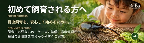 初めて飼育される方へ