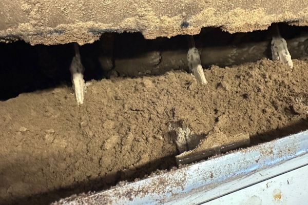 一次発酵マットをつくる発酵機内部
