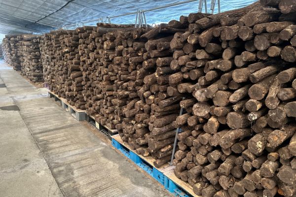FARMS マットづくりの原料