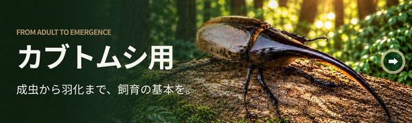 カブトムシ用