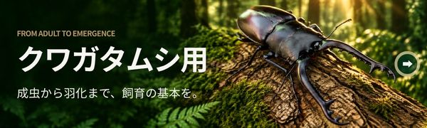 クワガタムシ用