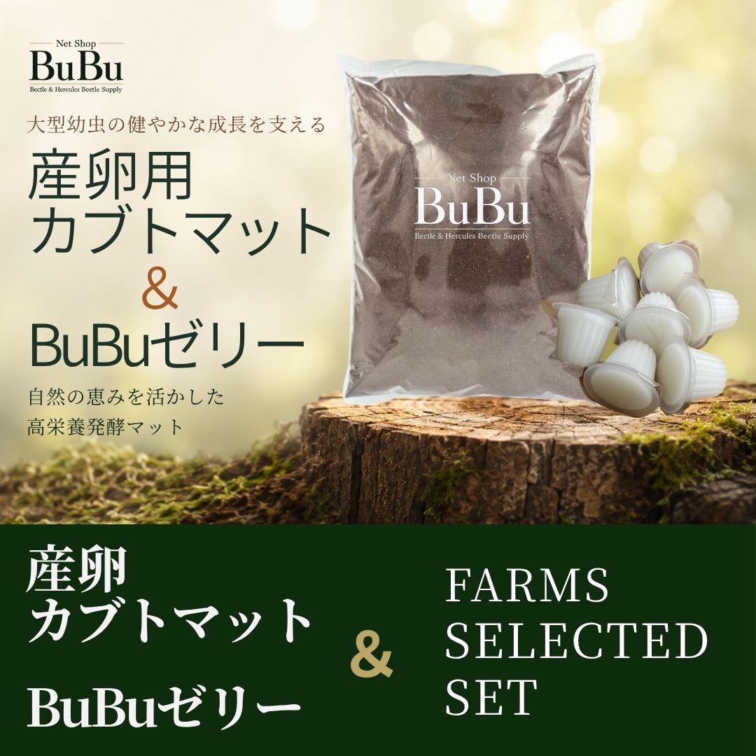 産卵用カブトマット＋BuBuゼリー