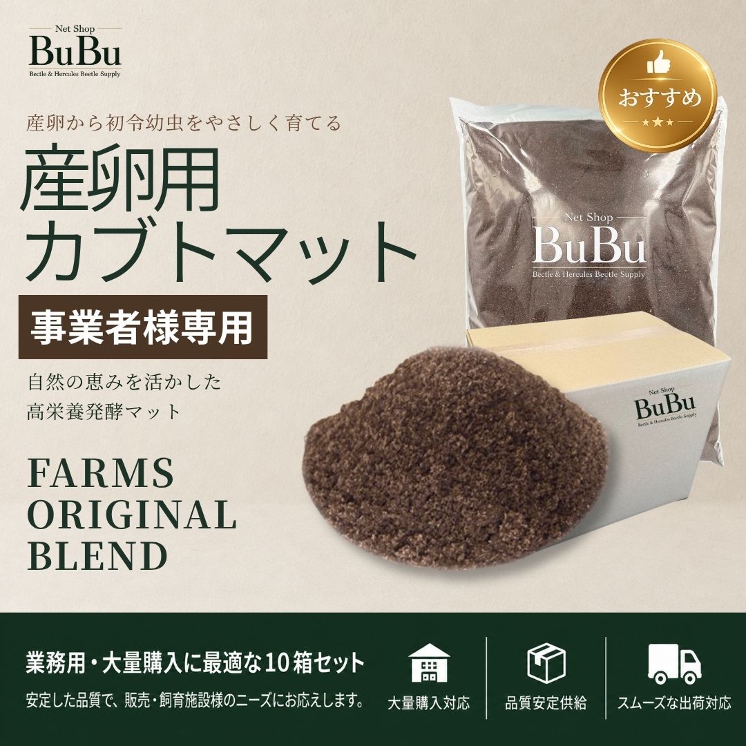 産卵用カブトマット 大口セット