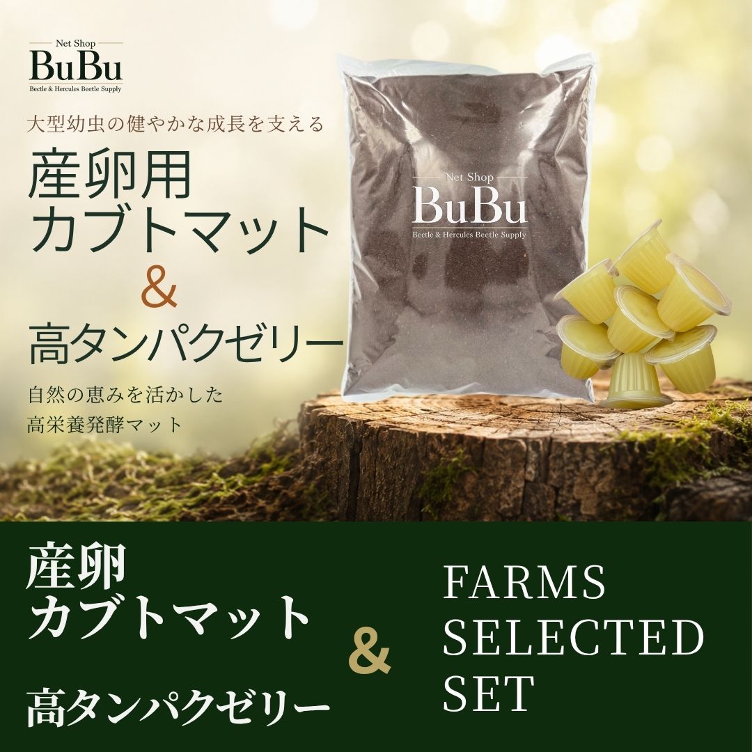 産卵用カブトマット＋高たんぱくゼリー