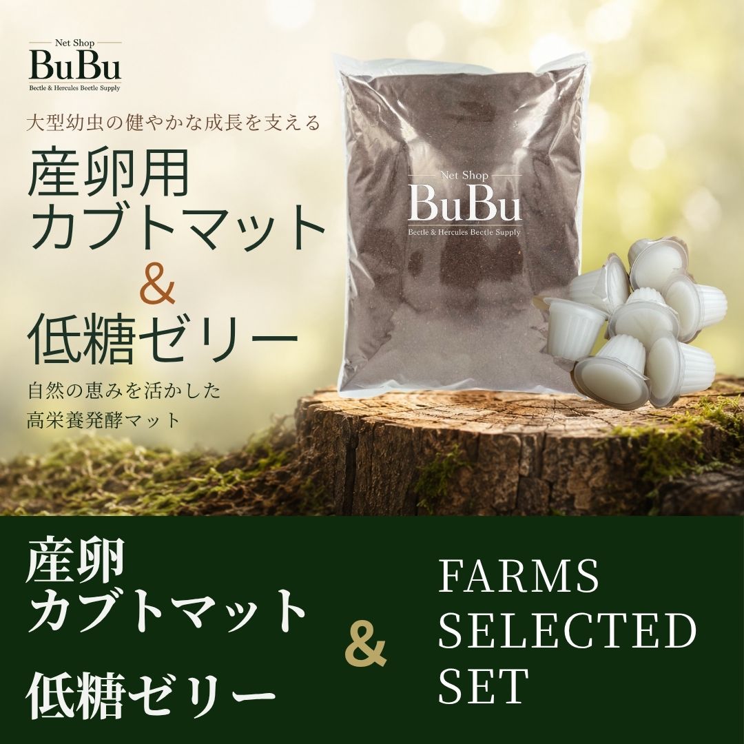 産卵用カブトマット＋低糖ゼリー